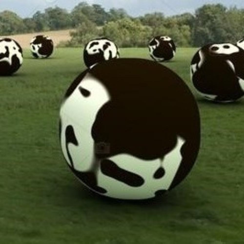 Meet your Posher, Kadi